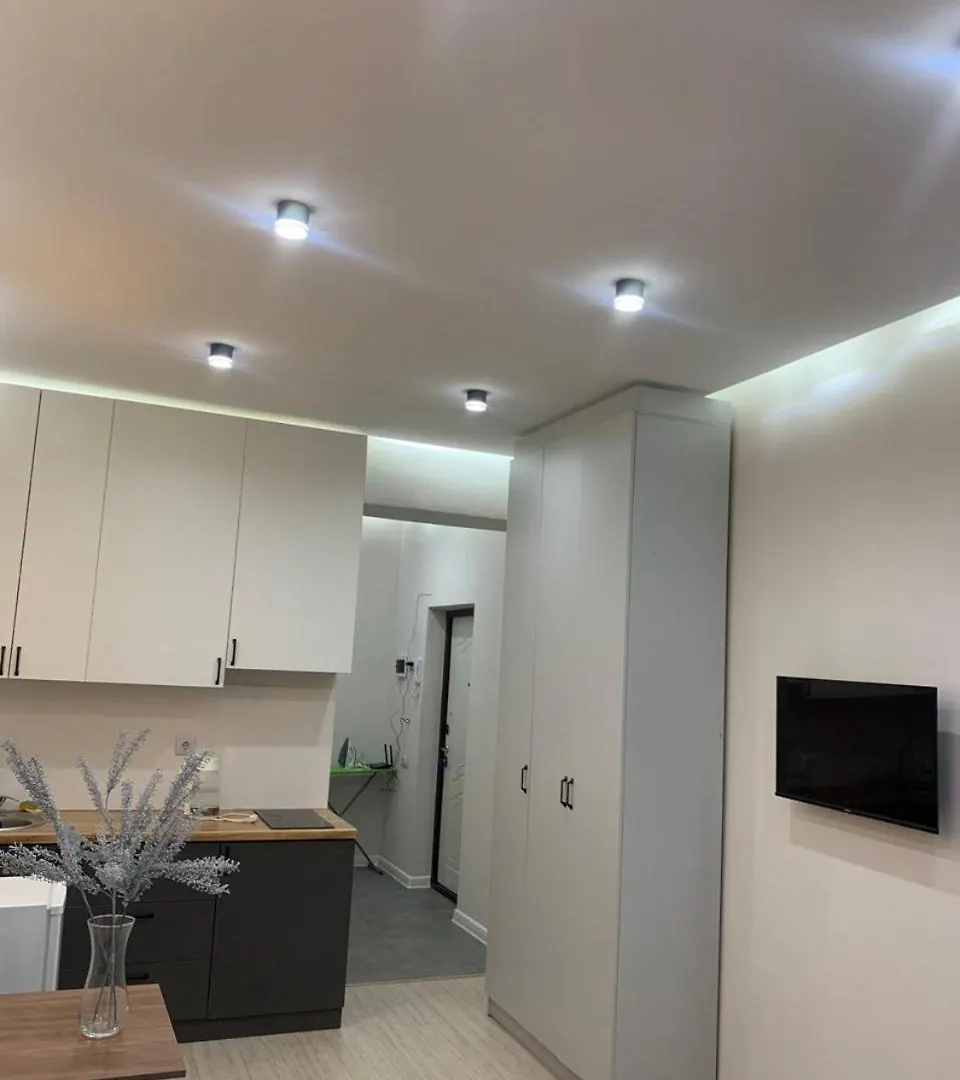 Apartment 1-Комнатная Квартира В Жк Sholpan City Almaty